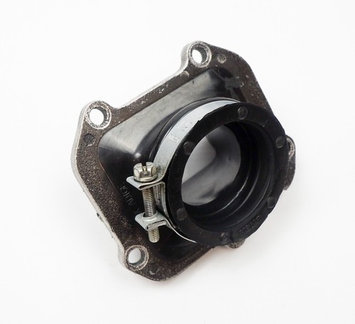 Rotax max evo - rotax, carb