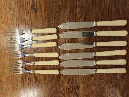 Set vintage bone handle - 6,
