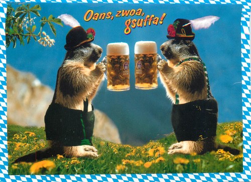 B574 two groundhogs dressed - b574,
