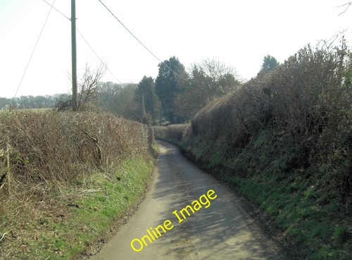 Photo 12x8 hollington lane - 12x8,