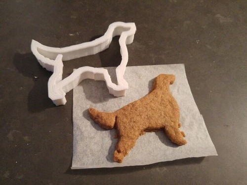 Irish setter dog cookie - setter,