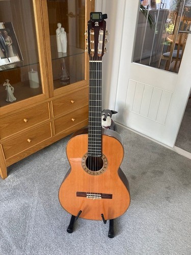 Alhambra classical guitar - 6p,