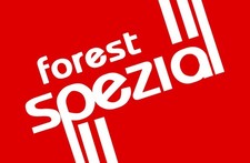 Nottingham Forest Stickers X
