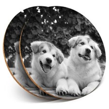 2 x Coasters bw - Alaskan
