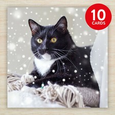 Cat Christmas Cards & Packs Cute Black & White Cat Kitten Christmas Cards Xmas