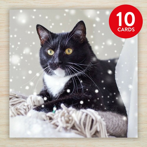 Cat christmas cards packs - cat,