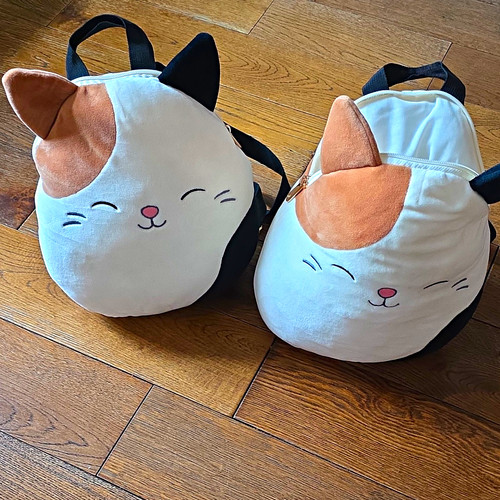 Squishmallows cat small - small, plush