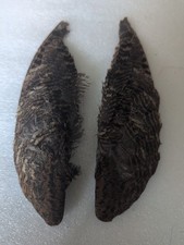 Woodcock Wings for Fly Tying