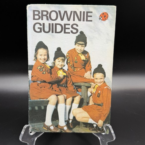 Vintage ladybird brownie - vintage,