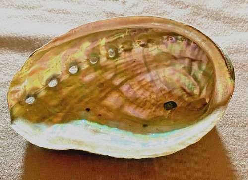 Abalone shell incense - abalone,