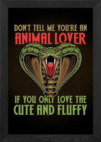 Ophiology pet snakes - pet,