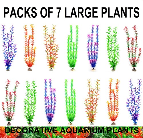 Large aquarium fish tank - aquarium,