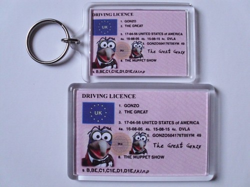 Gonzo muppet keyring - or, fridge