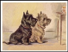 CAIRN TERRIER DOGS & GOLDFISH