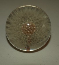 Vintage Hafod Grange Dandelion