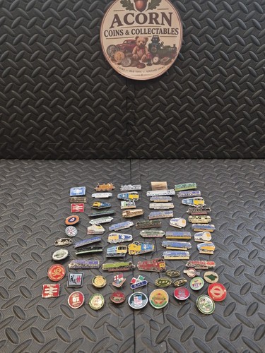 Large train pin lapel - 66, pin/lapel