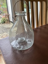 Vintage Aqua Glass Fly/Wasp Catcher with embossed insects on side 