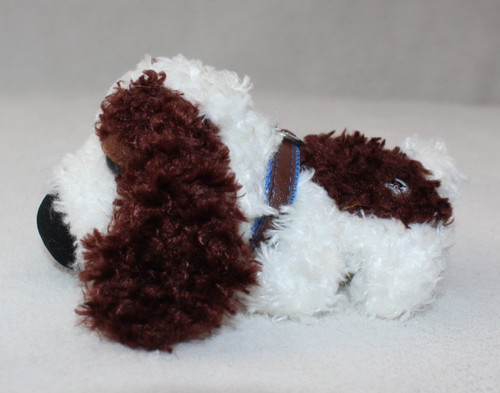 English springer spaniel the - english,