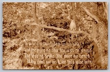 Taxidermy Owl On Oak Branch