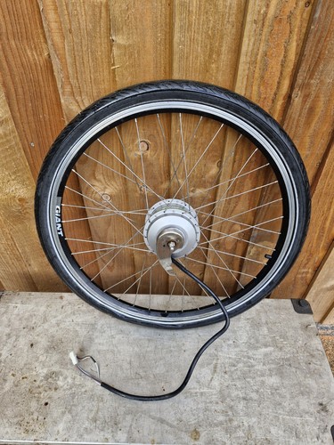 Giant twist front - giant,