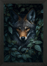 Coyote in the Shadows Framed