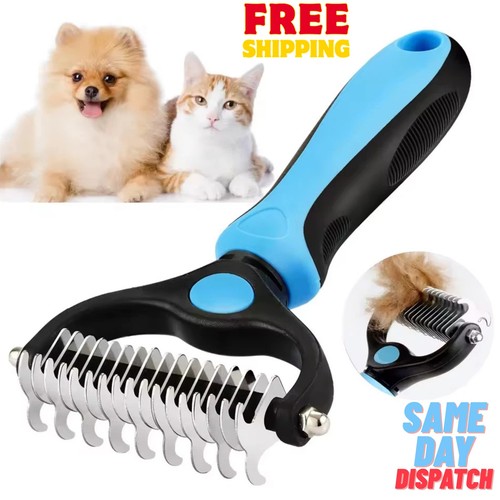 Pet cat dog - pet,