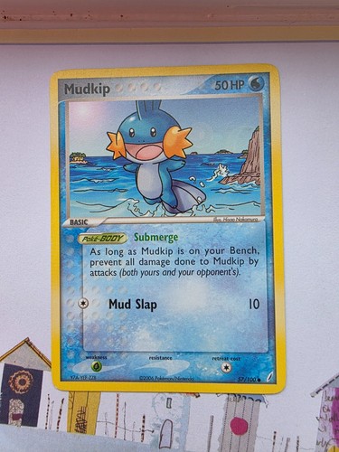 Mudkip 100 pokemon - pokemon, tcg