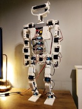 Wireless Humanoid Robot - Full