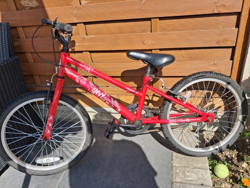 Apollo envy 20in red - apollo,
