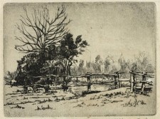 Elizabeth Joyce