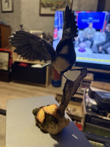 Vintage great tit arden - tit",