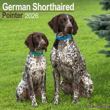 German ShortHaired Pointer 2026 Calendar | Dog Gift Wall 15% OFF MULTI ORDERS