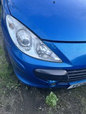 Peugeot 307 Drivers Side