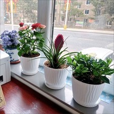 3 Pack Plastic Plant Pots