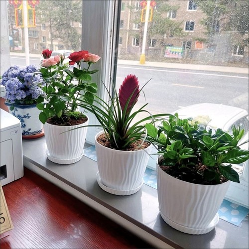 Plastic plant pots - plastic,