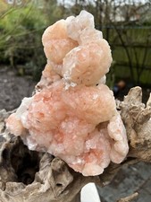 Pink Stillbite Cluster With