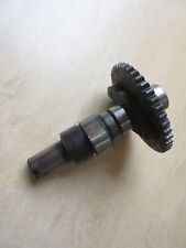 Suzuki DR600     Camshaft