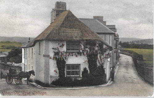 Chagford rose cottage - rose,