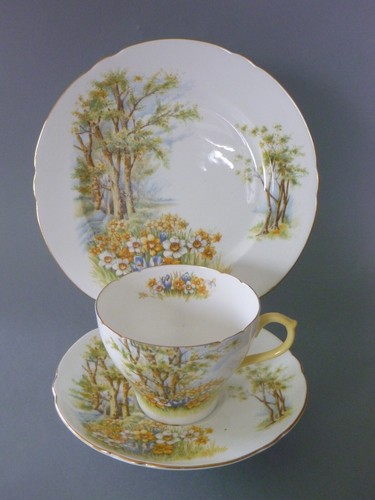 Shelley daffodil time 13370 - time,