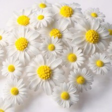Edible White Daisies Flowers Fondant Sugar Paste Cake Decor Birthday Wedding