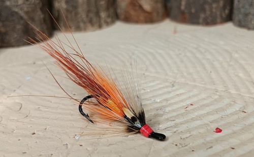 Bann specials shrimp - 3,