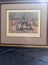 David Shepherd Limited Edition