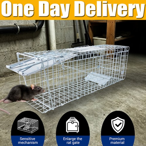 Live animal cage - live,