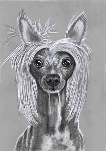 Original pencil drawing - b&w,