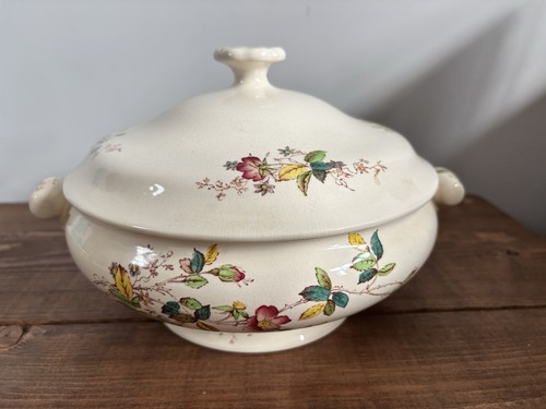 Copeland spode helma covered - spode,