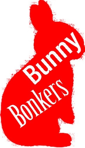 Rabbit/bunny/animal/pet