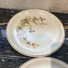 5 x St Michael M&S Marks & Spencer Harvest Dinner Plates Stoneware 