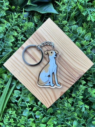 Whippet lurcher greyhound dog - lurcher,