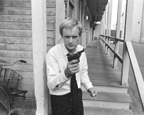 David mccallum holds gun - mccallum,