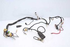 Wiring harness main wiring